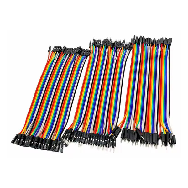 Cavetti Dupont femmina